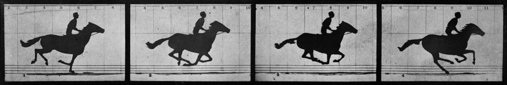 Four still frames of Eadweard Muybridge's classic animation -- a horse in motion